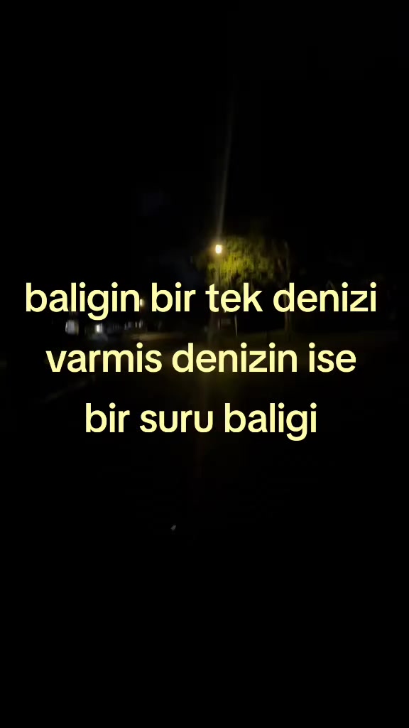 @DelikanliPanda31