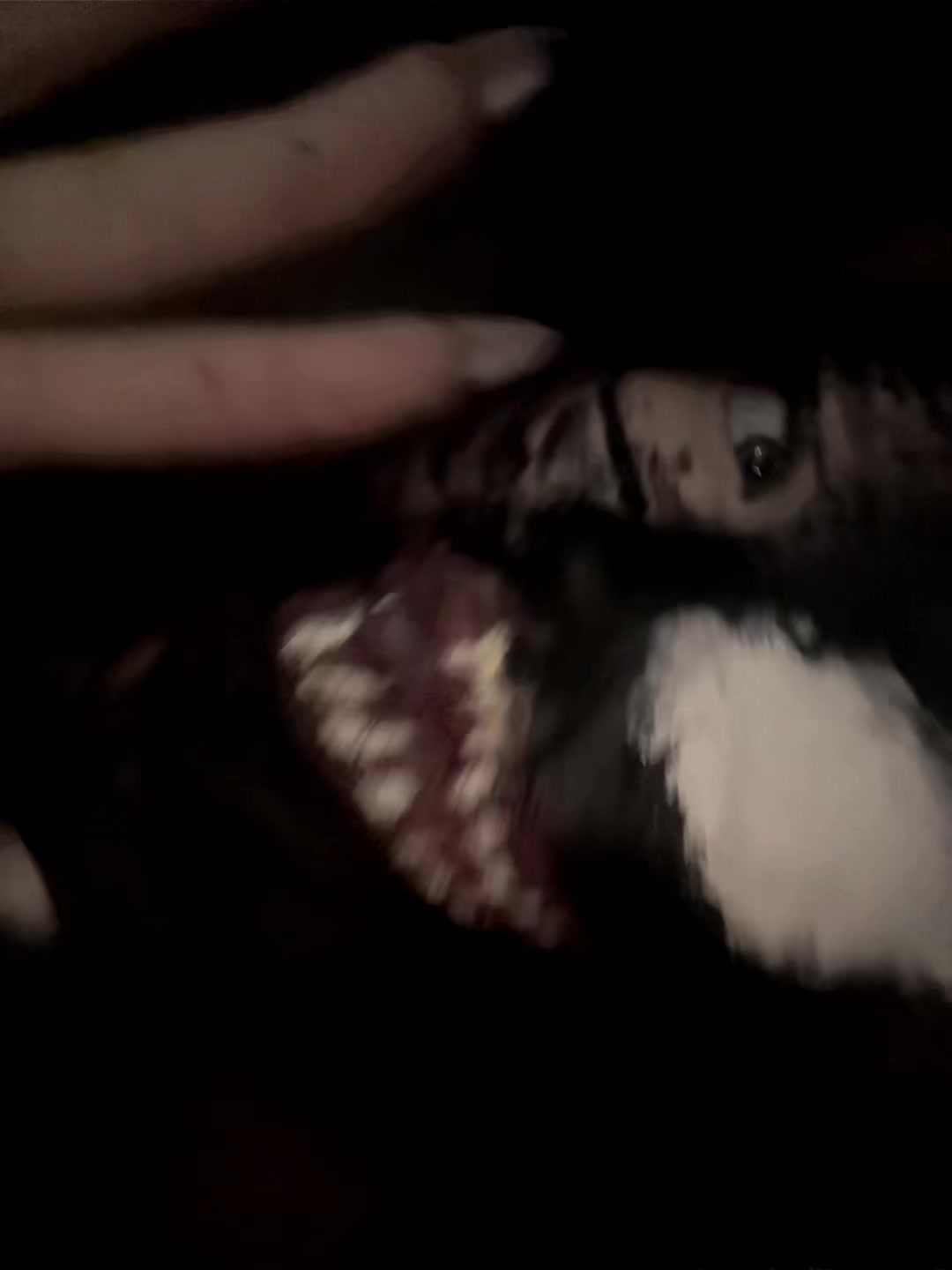 @&dagger;𝐒𝐨𝐧𝐲𝐊𝐨𝐦&dagger;