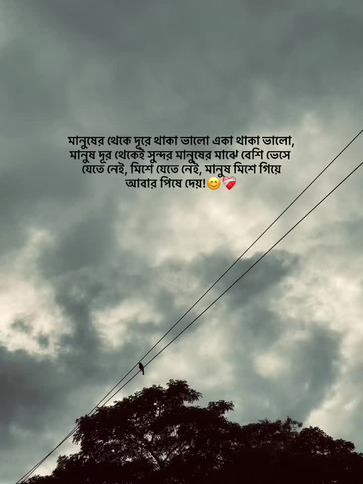 @mee.rocky🧃