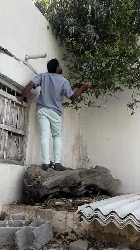 @𝓐𝓼33𝓶