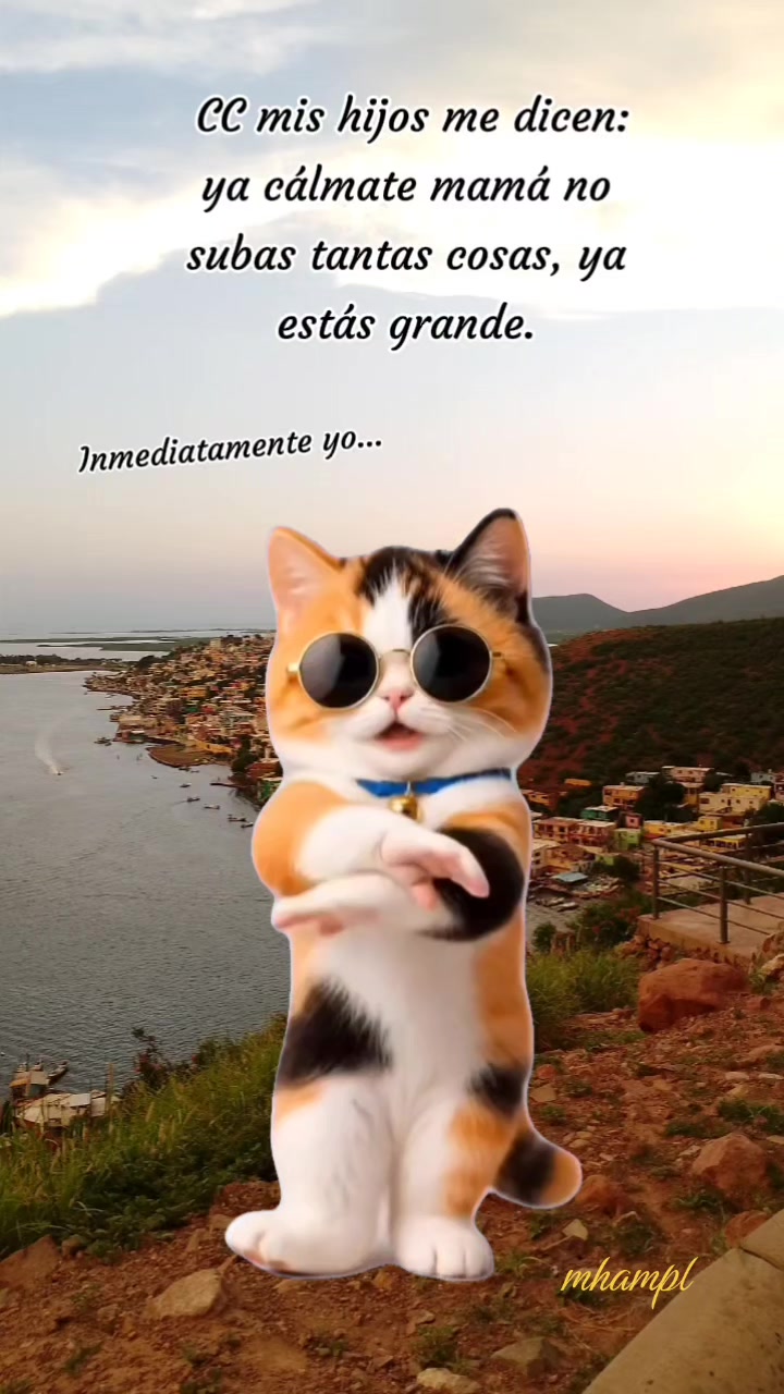 @hamplmelita