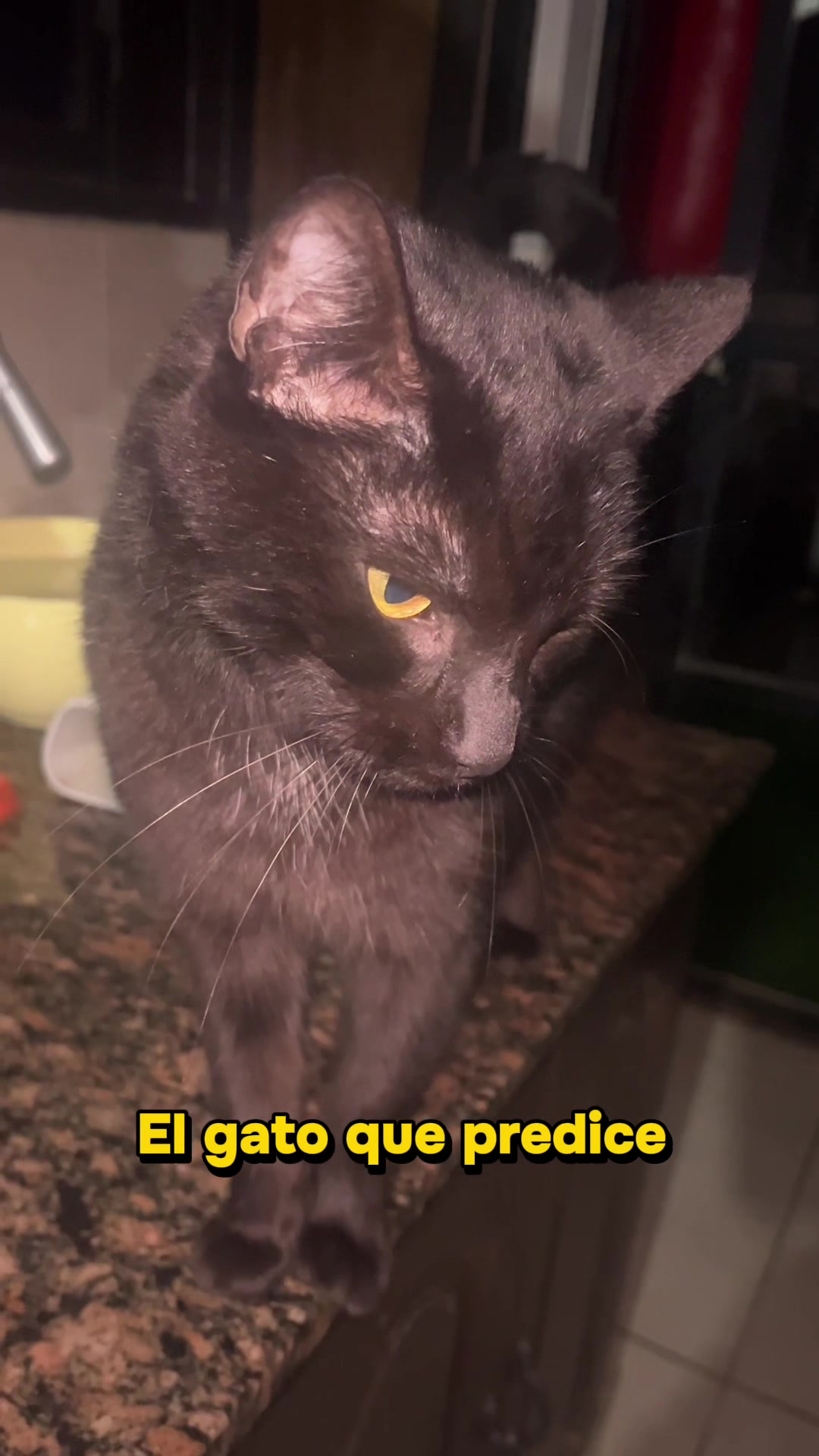 @LaMujerConAlas