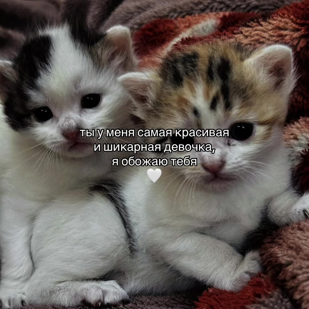 @Х̶И̶Т̶Ы̶ У̶ П̶Л̶И̶Т̶Ы̶🎧