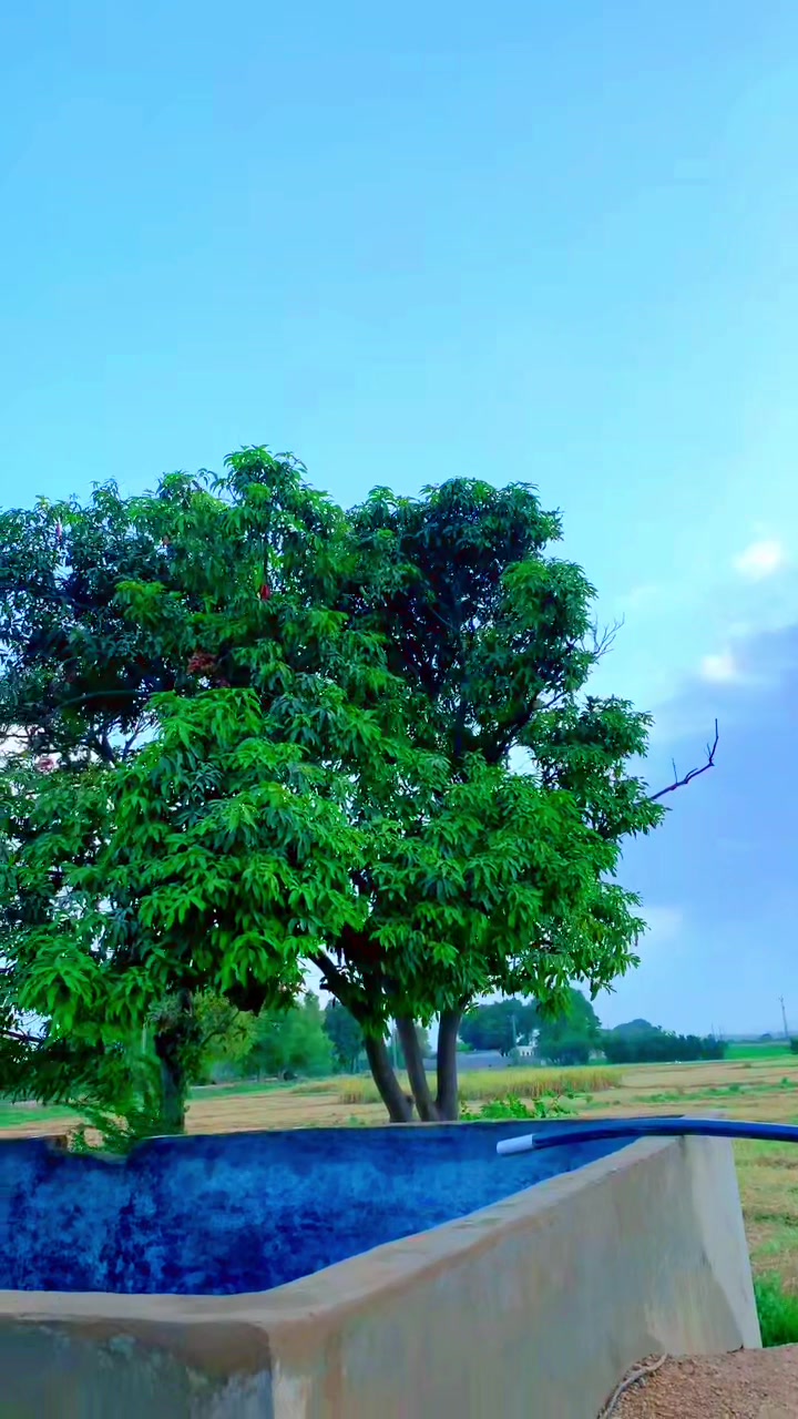 @Khan Jan