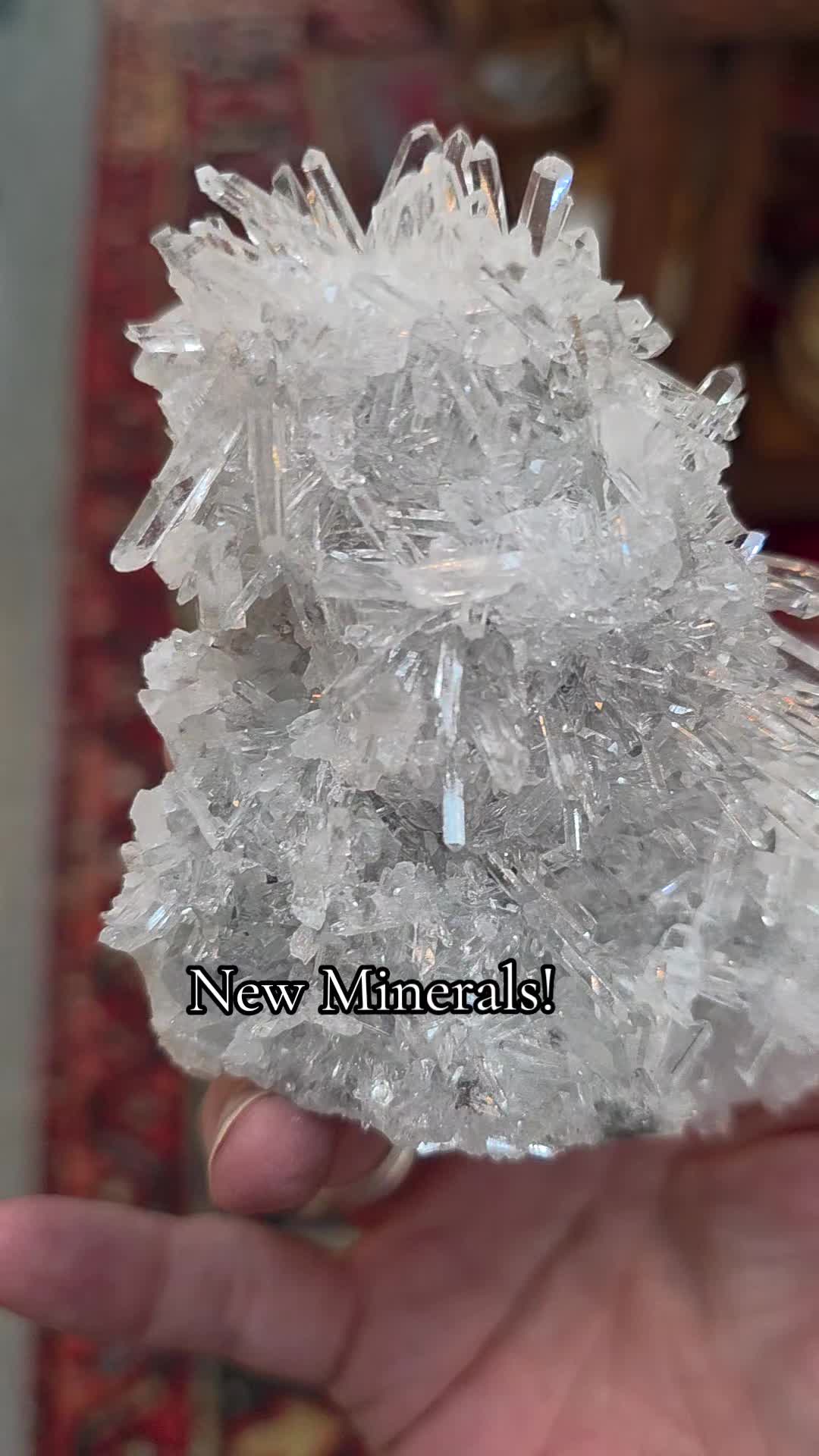 @Crystals & Curiosities