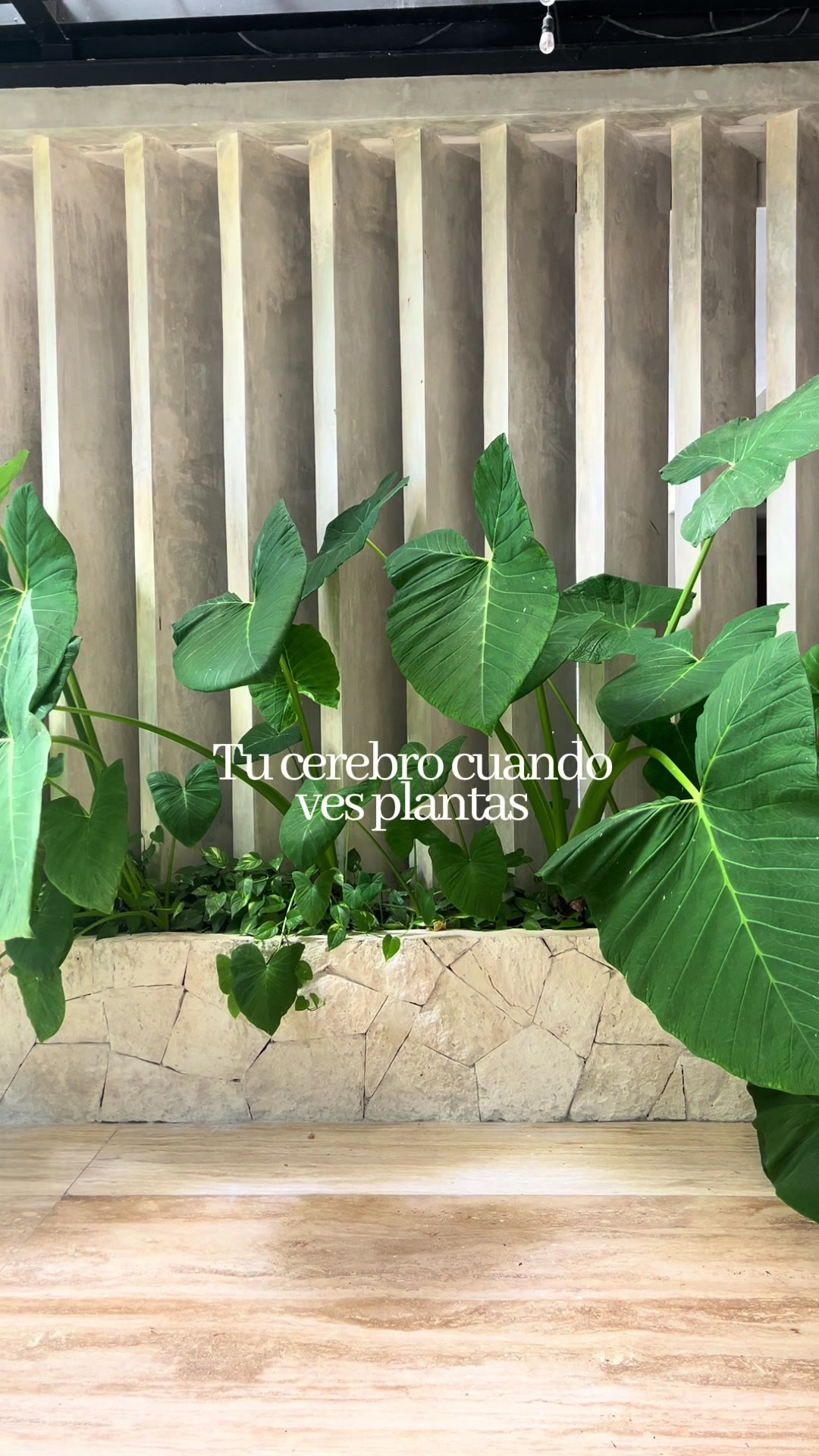 @𝘝𝘢𝘭𝘦𝘾𝙡𝙞𝙥𝙨