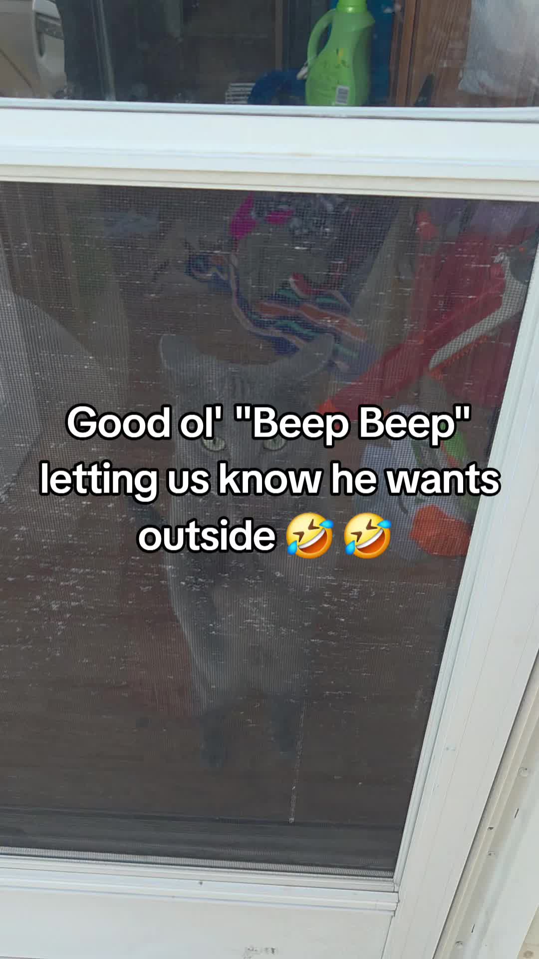 @Cindy🐈