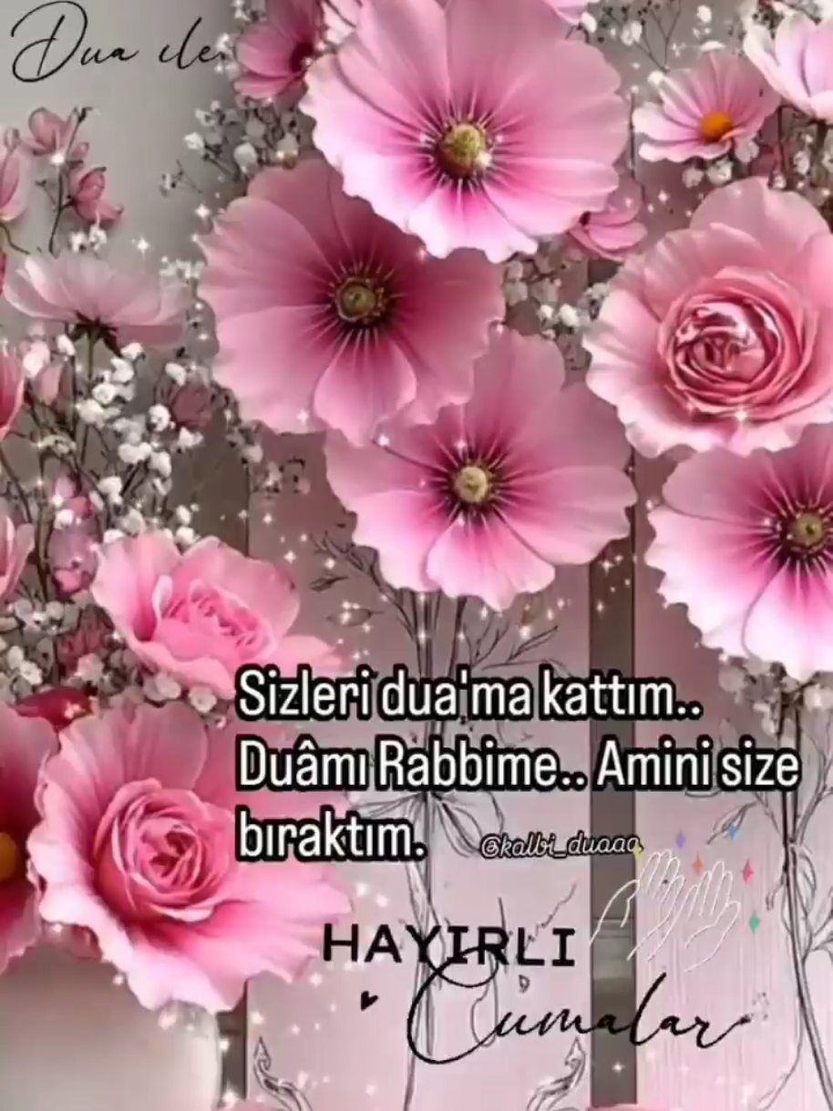 @hayat nereye gidiyor