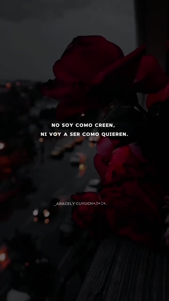 @⠂A𝕣ꪖᥴꫀꪶꪗⓒ ⠐