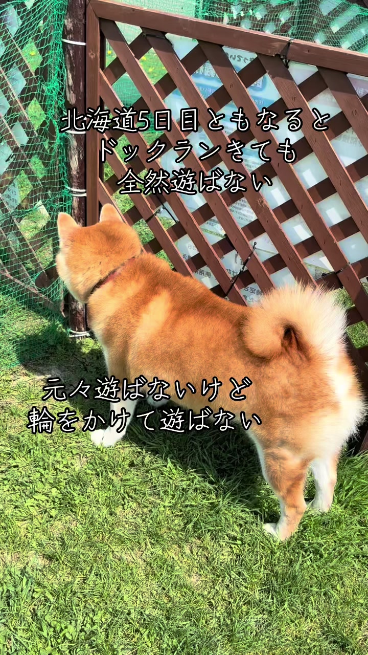 @nana0209 🪽🥴