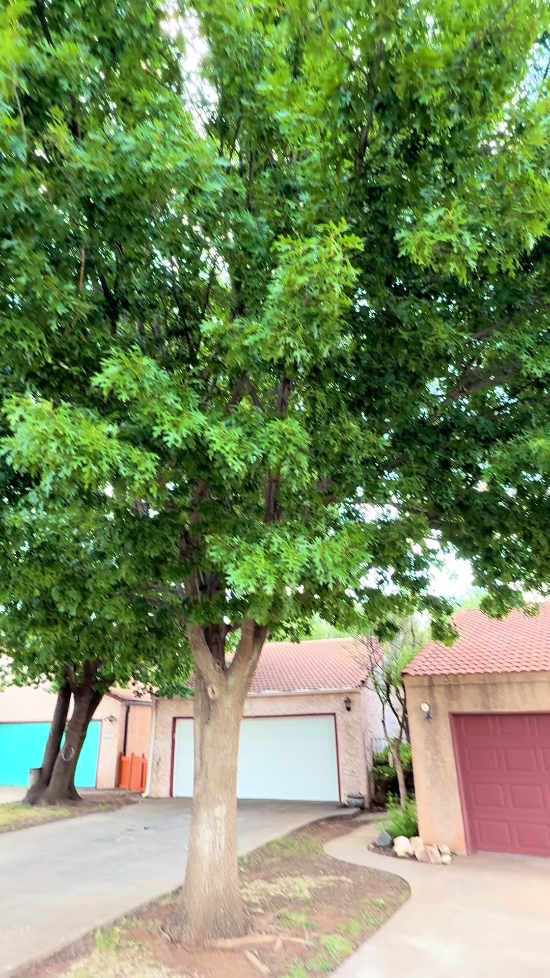 @FamousRealtor