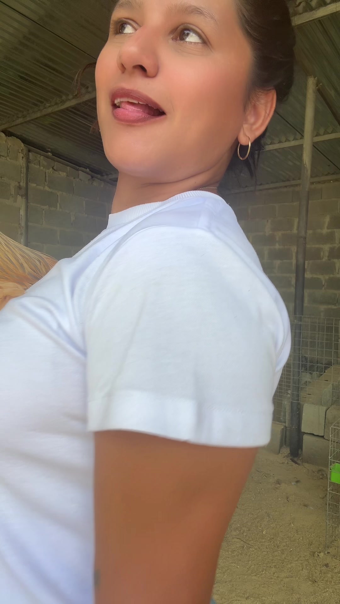@Granjamascotalandiayaracuy