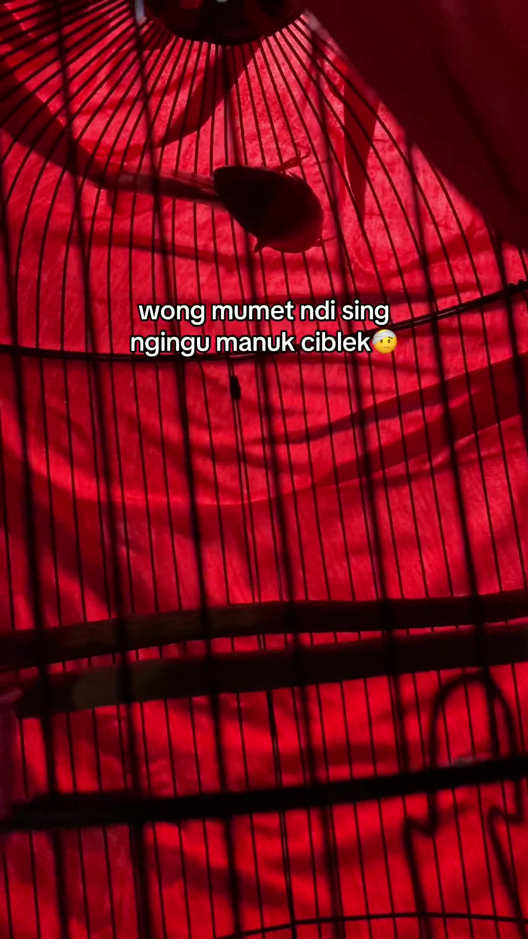 @KING_PEN⛓️💥