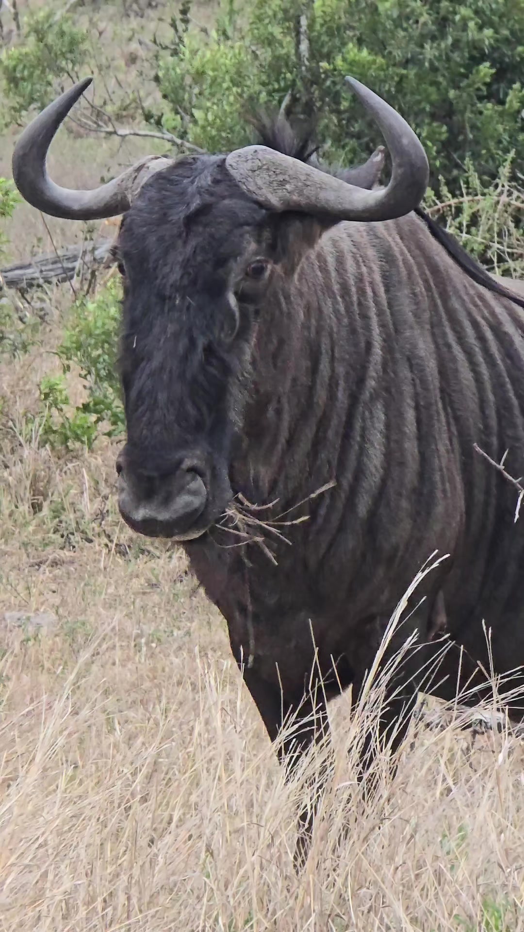 @KPS Safaris and Tours