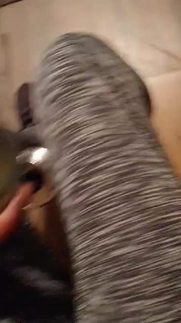 @lovejackson8572