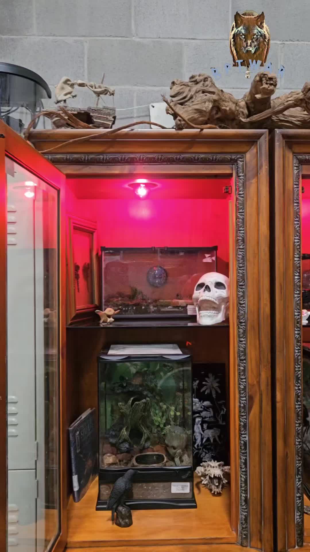 @Just 🕸️
