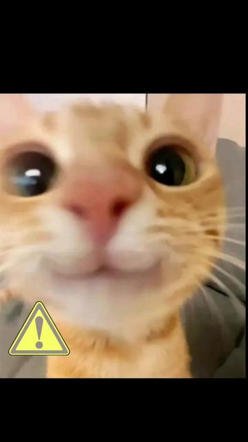 @Sindy123!