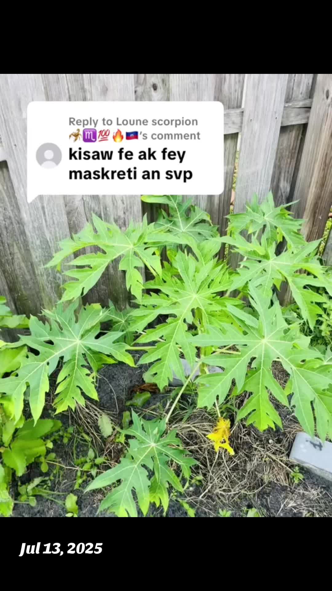 @Hfmbelle