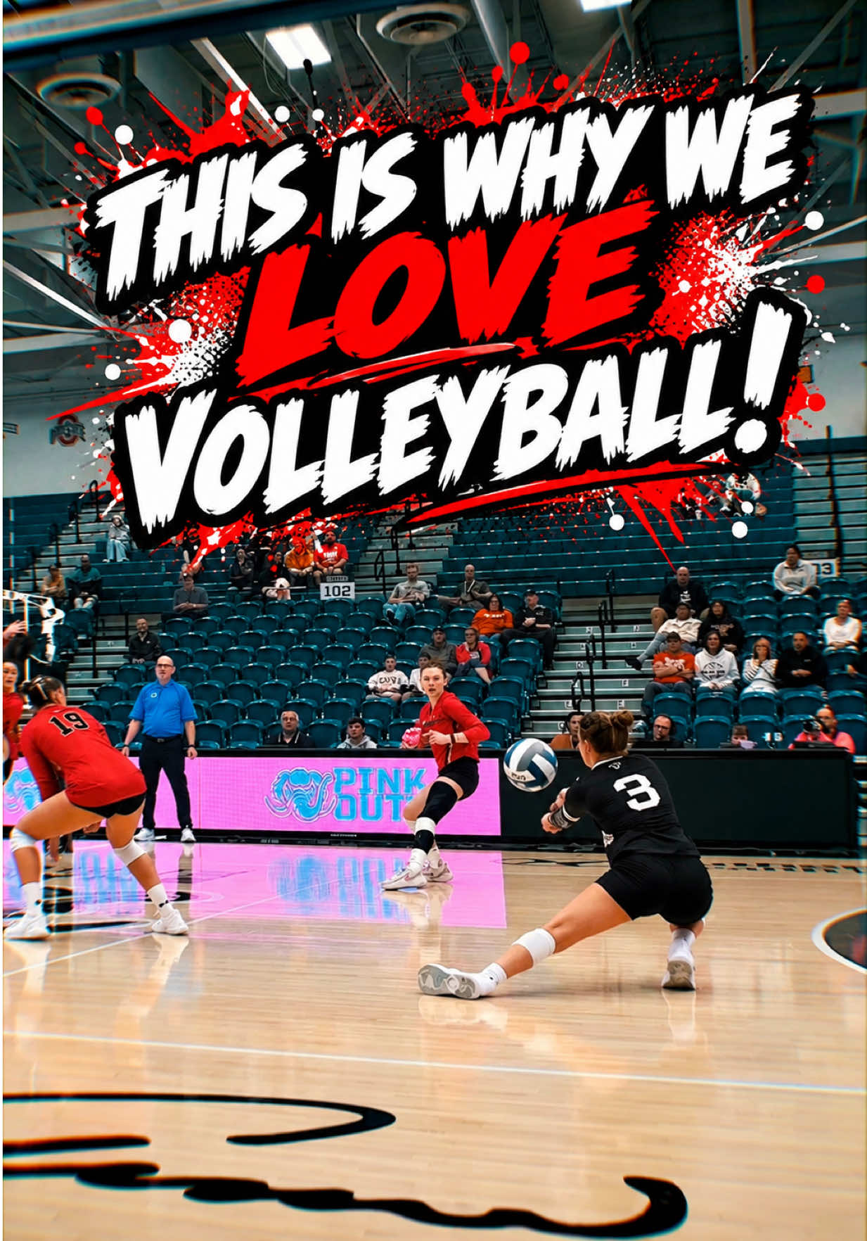 @Vballnoryb Volleyball Media