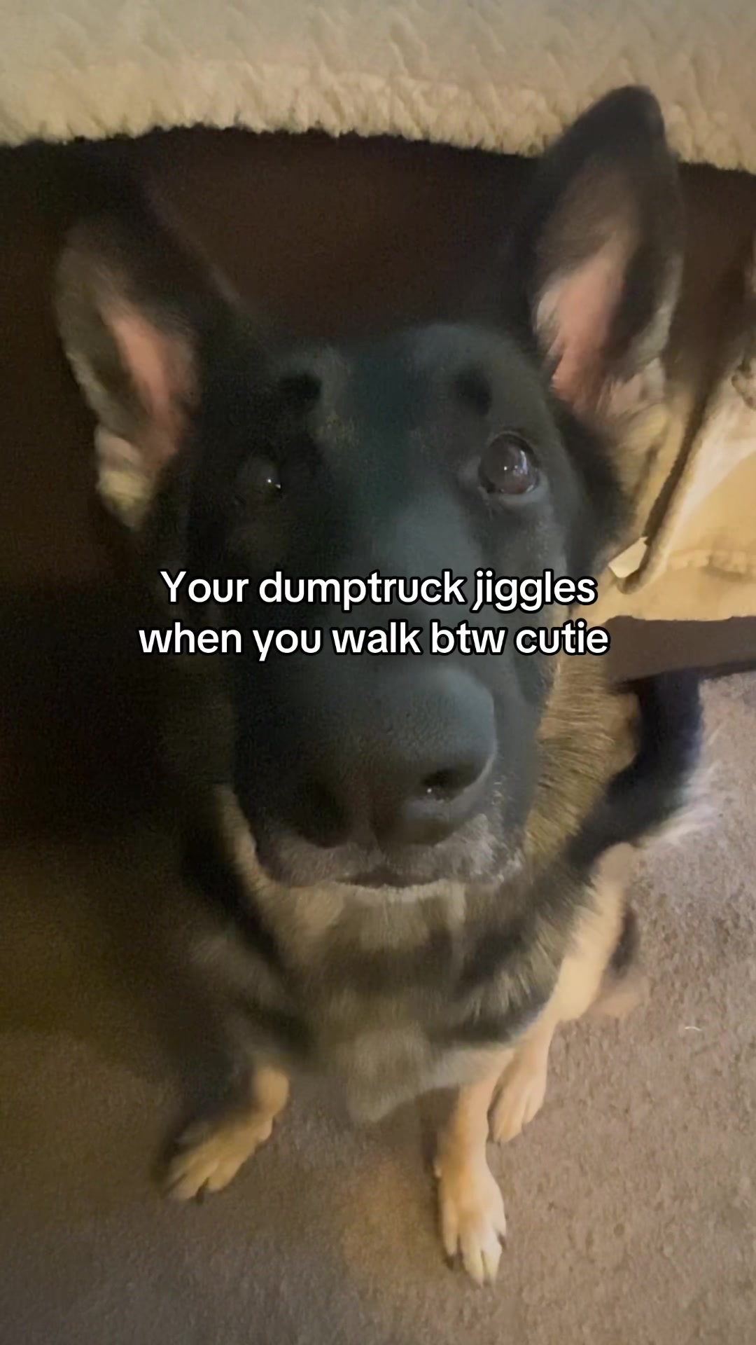 @Bhris
