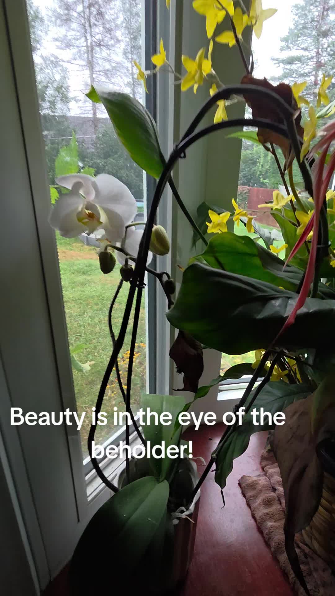 @momwifequeen22