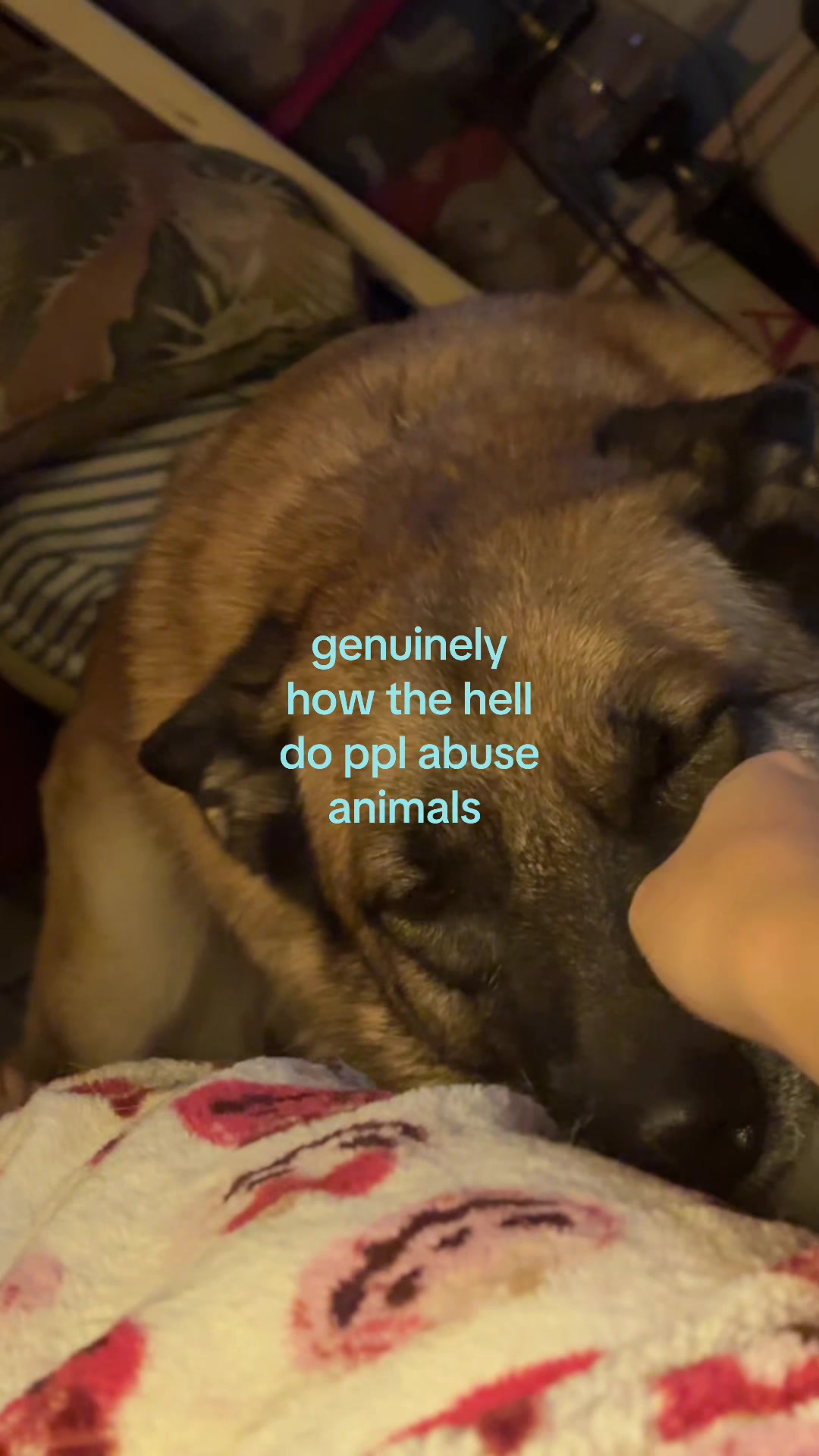 @ABBYGAIL ๐บ๐๐
๐