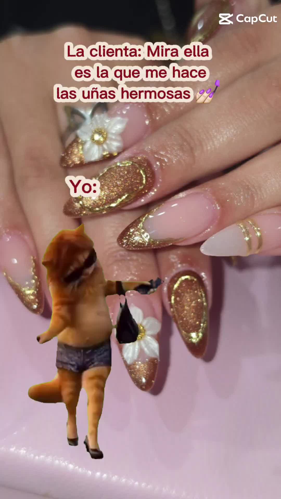 @lau