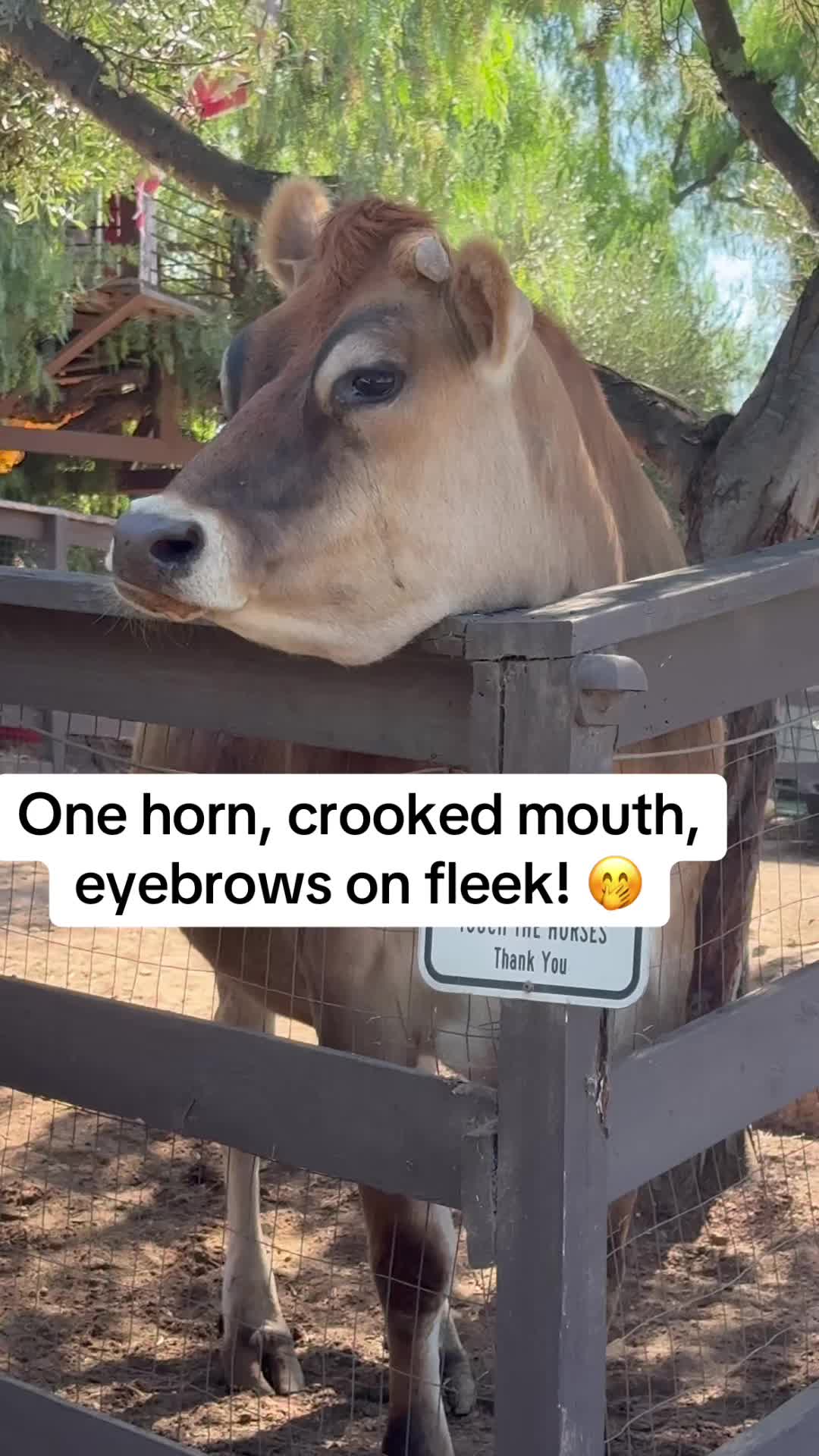 @staseasranch