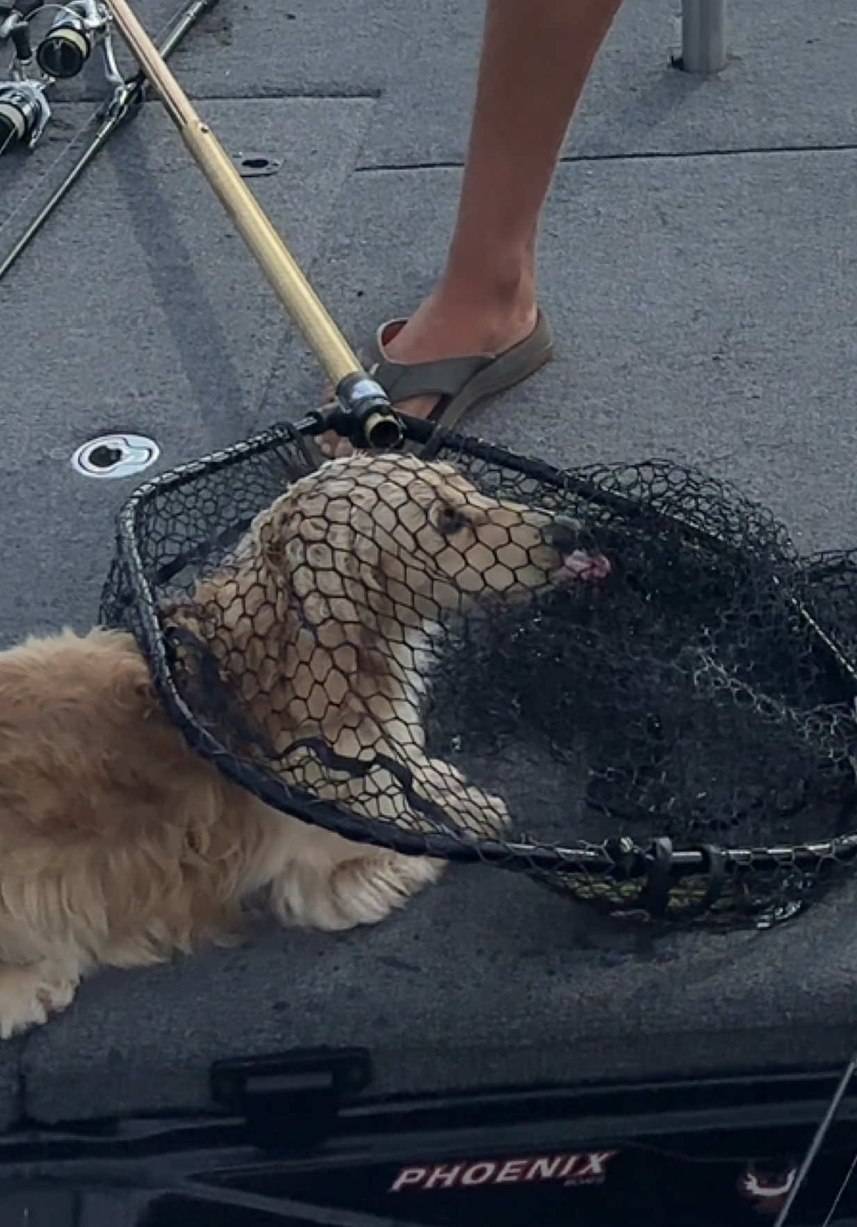 @braydenstokerfishing