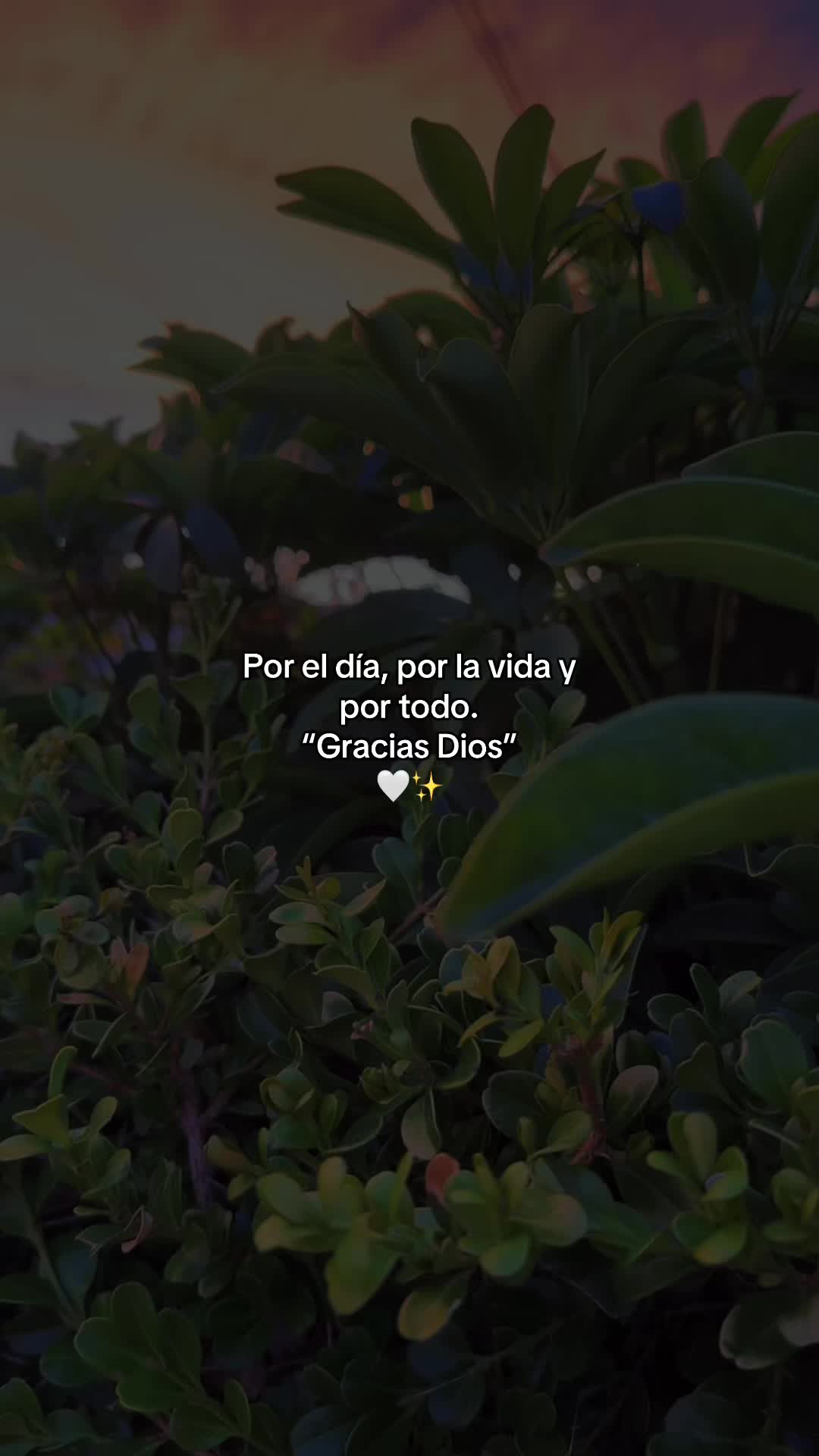 @🎶M&uacute;sicas👑Cristianas🎶
