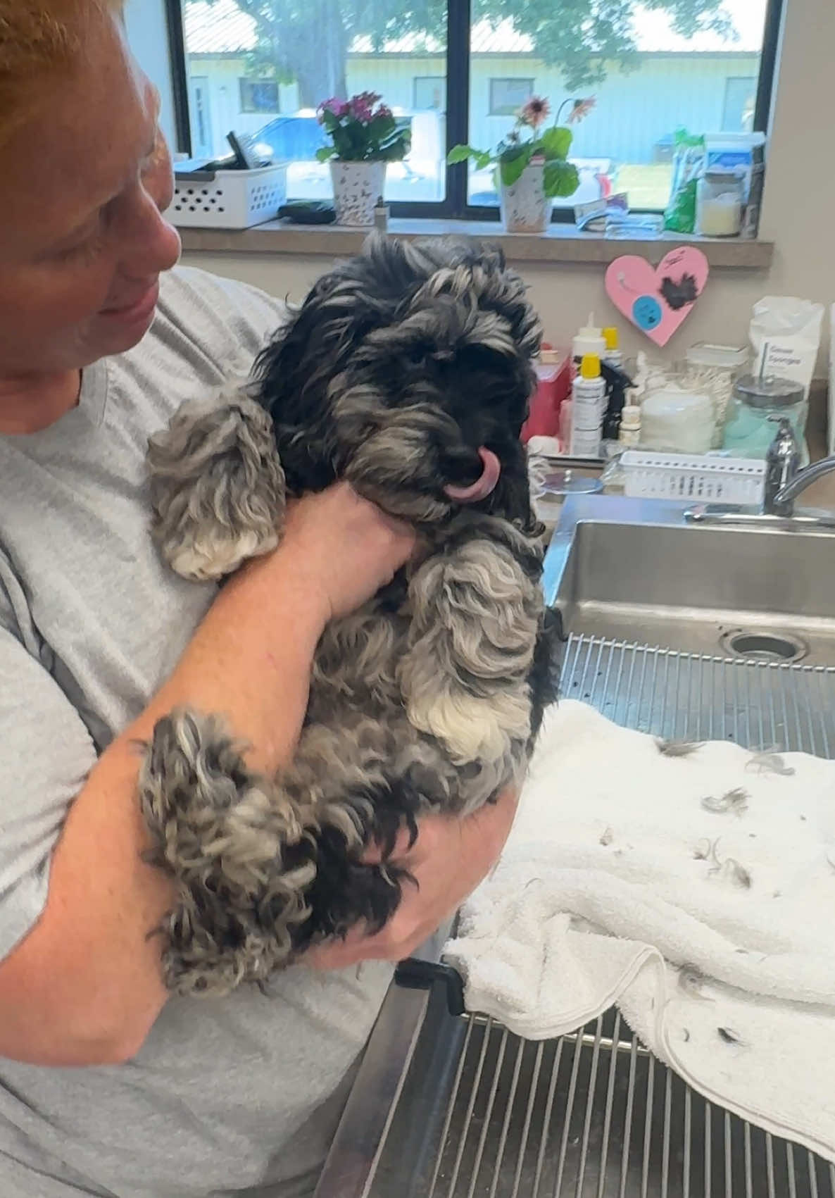 @Snodgrass Vet