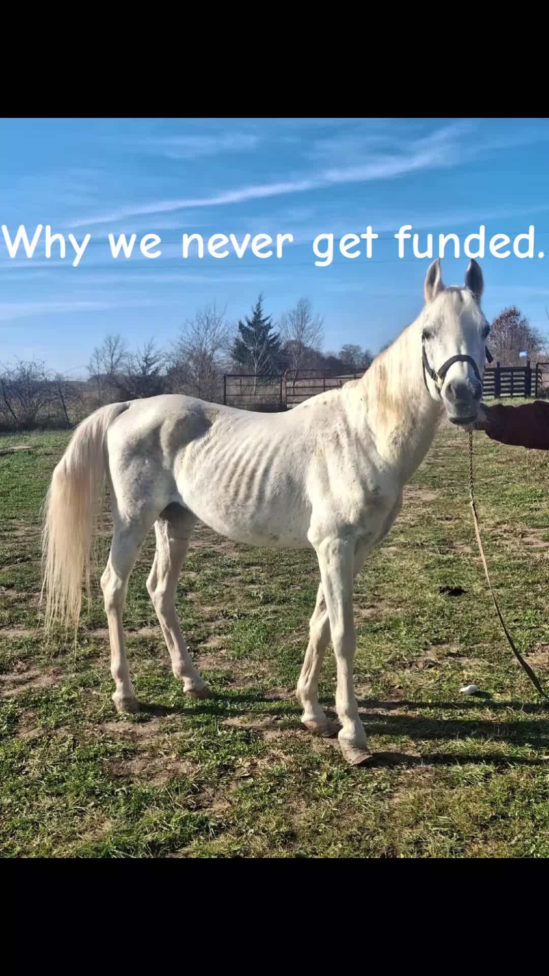 @AmylaneHS