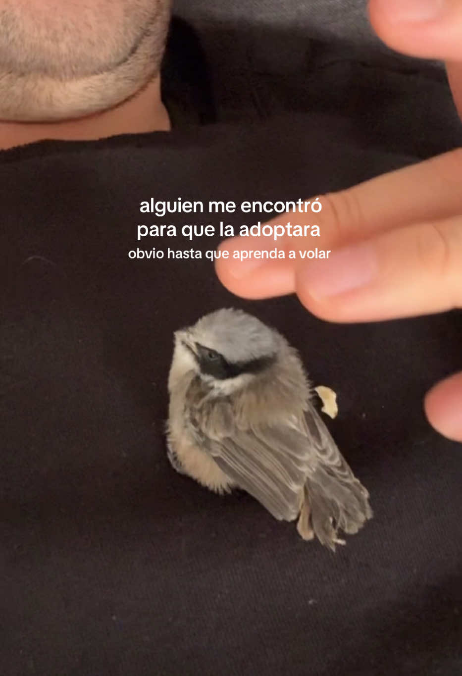 @jerryyyywithag