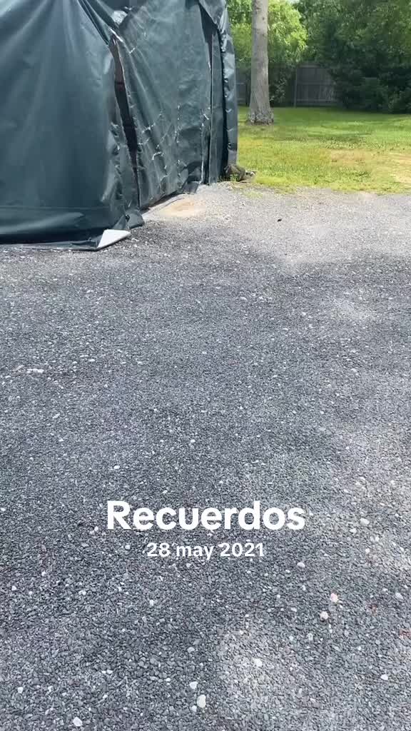@Mr,Alex,TEAM