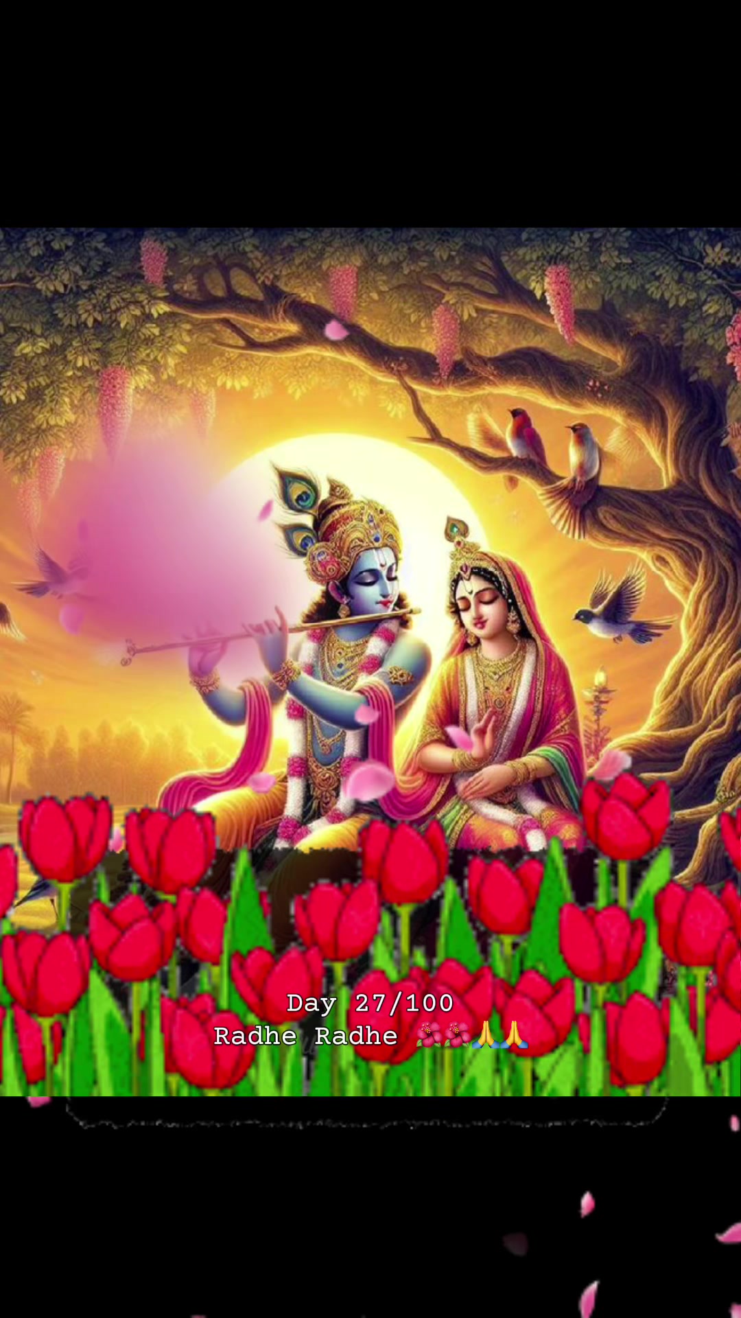 @RadheKrishna🦚🦚🙏🙏