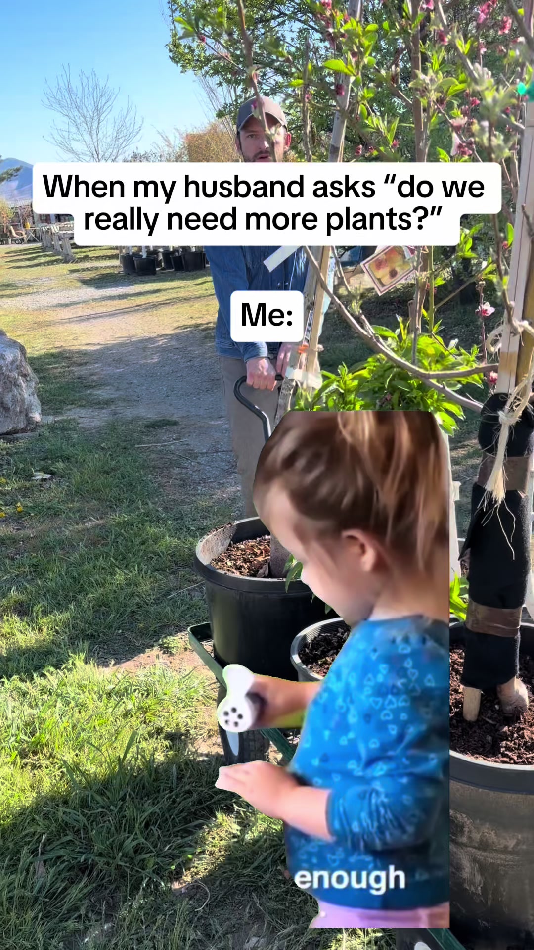 @Wildflower Farm