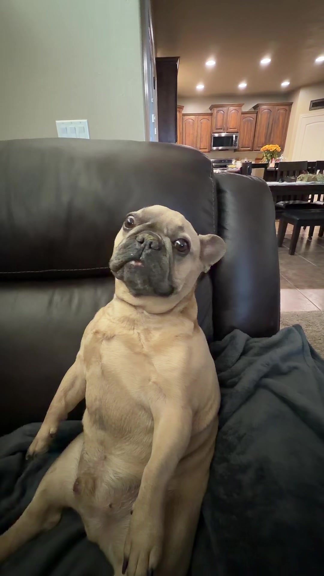 @bentleytheg0at
