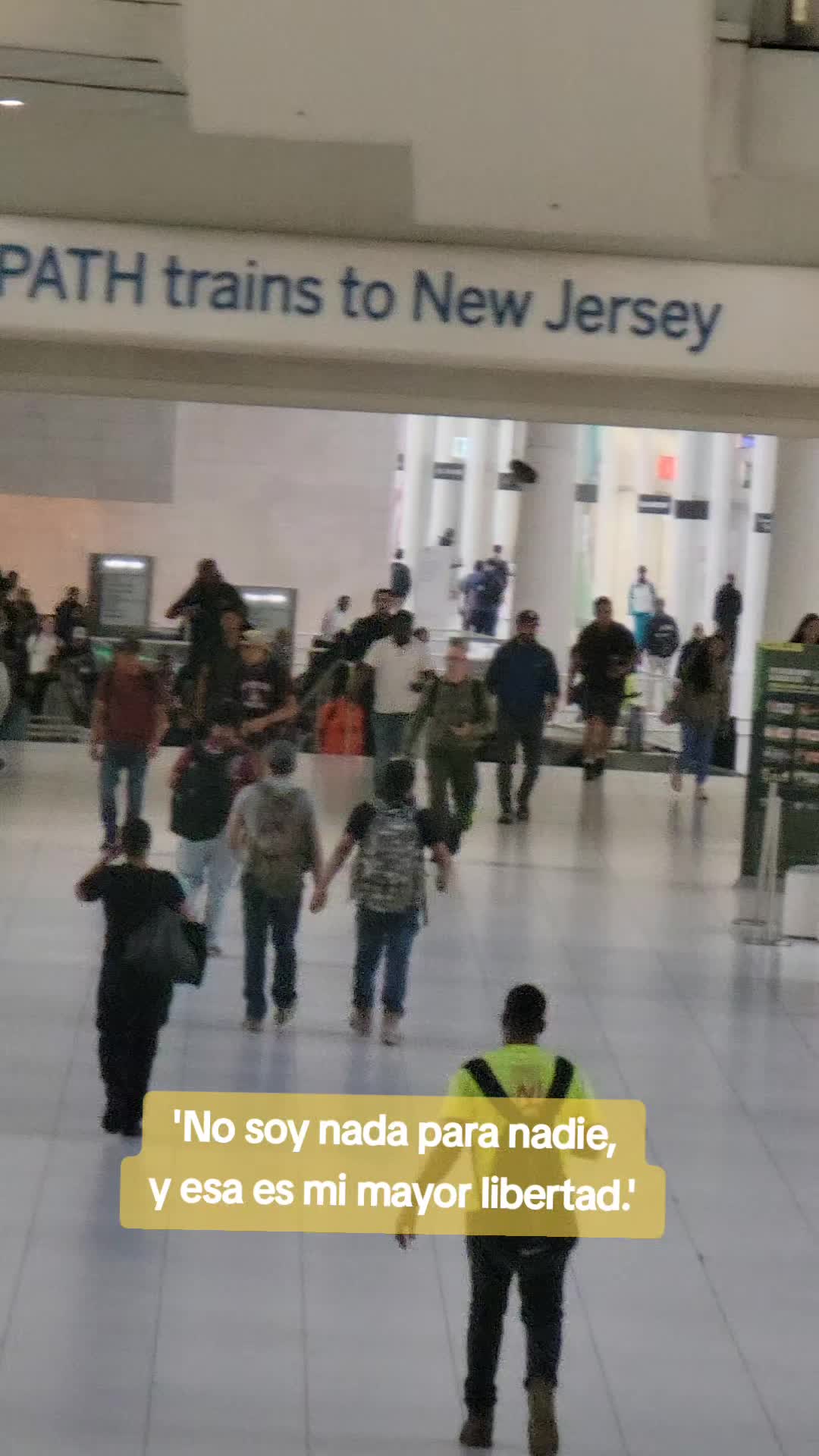 @el panda solitario