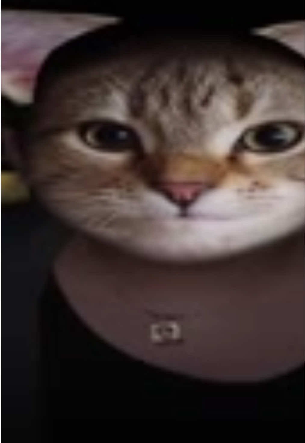 @๐
.๐
.๐
ฃ