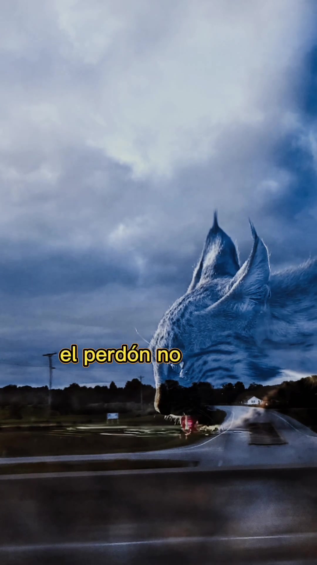 @🫂🐾♉️Masiel d Edison🫶 ⩜⃝🌈🦩