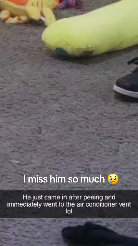 @KeiraRayn