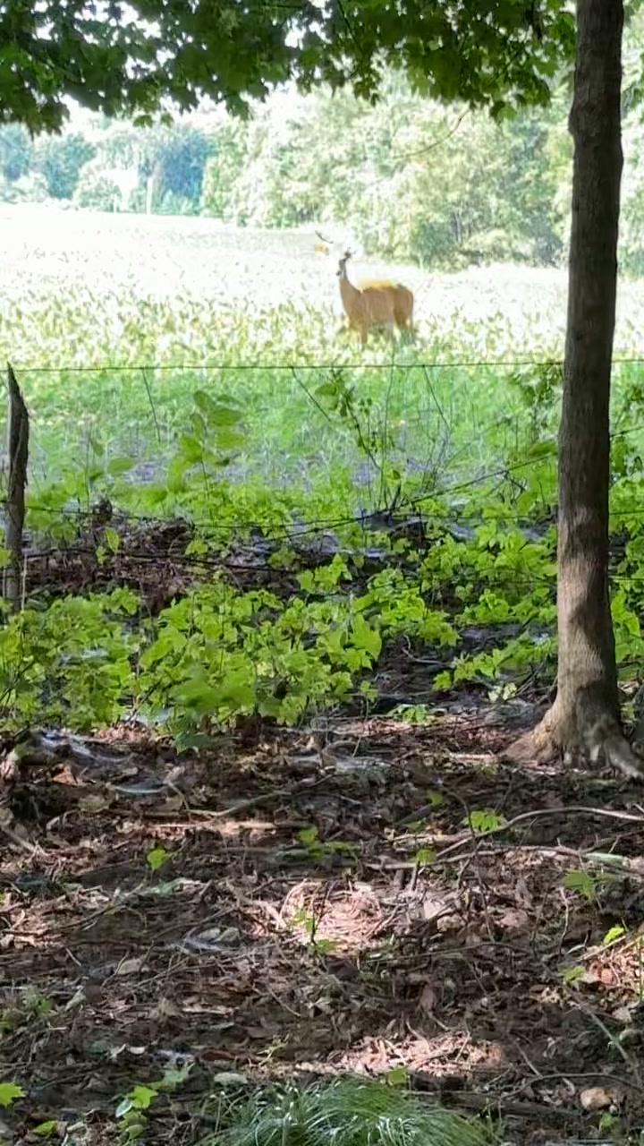 @Ryan Powelson🦌🦃🏹🦆