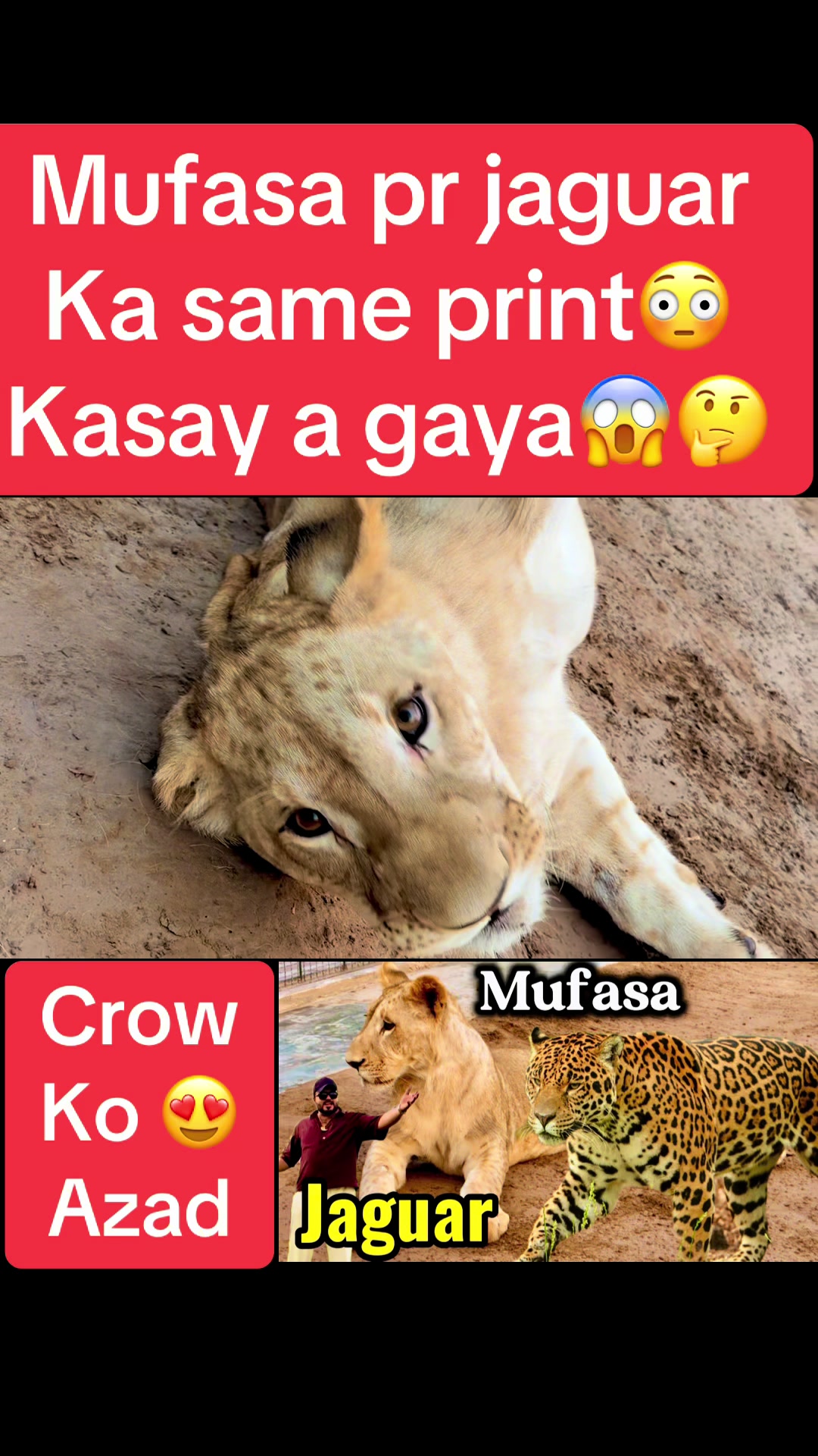 @Mian saqib