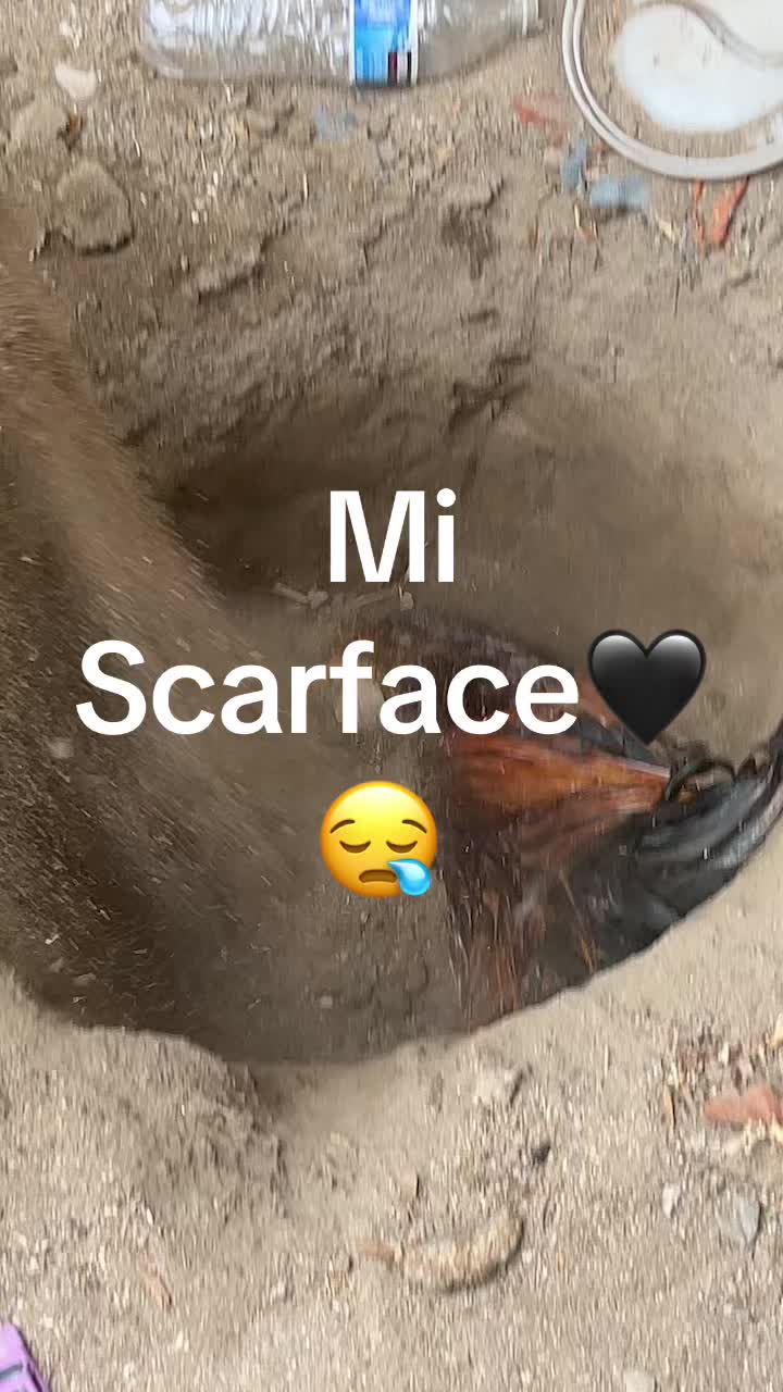 @Esmeflores🖤🇲🇽🪬