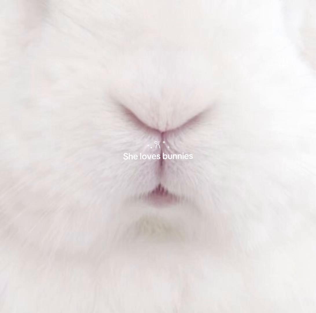 @𑣲┆Ivyy ! ˚.⋆ֹ
