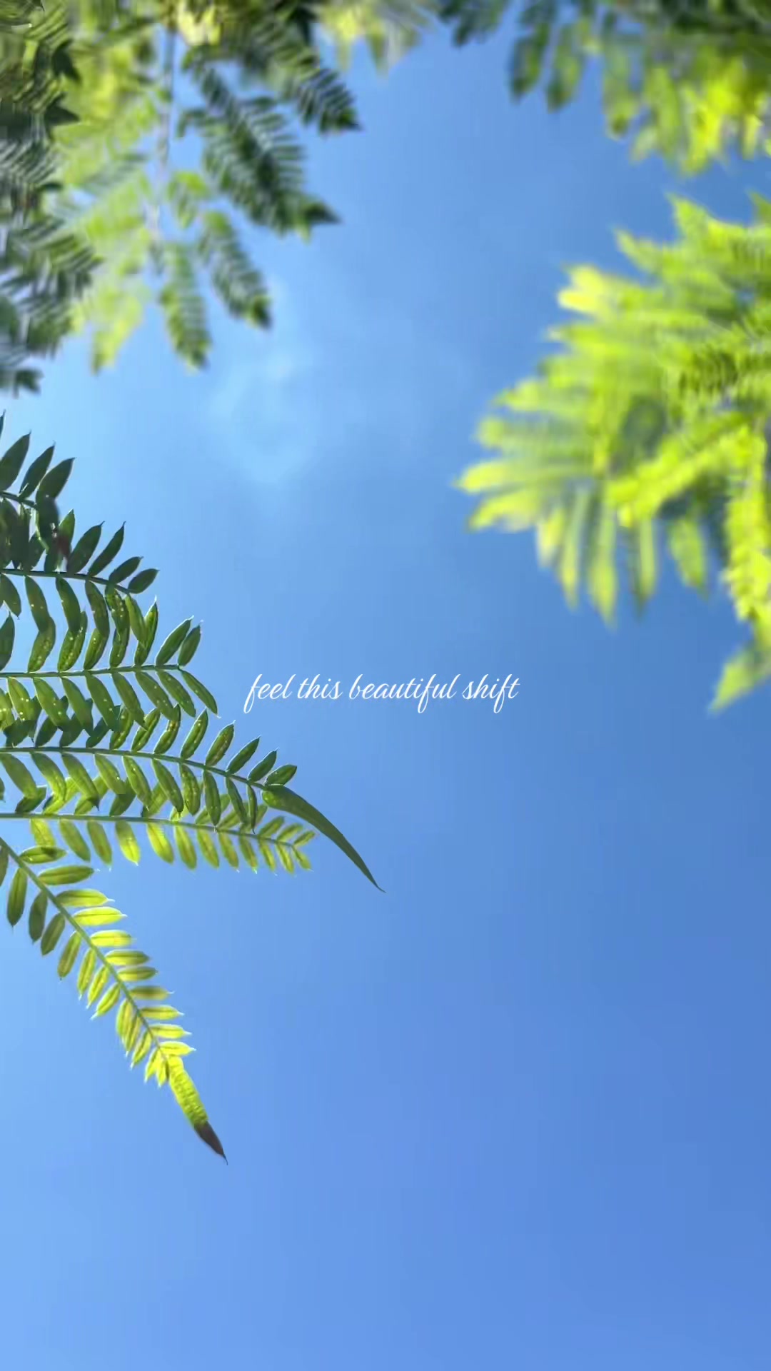 @𝗠𝗜𝗖𝗛𝗘𝗟𝗟𝗘
