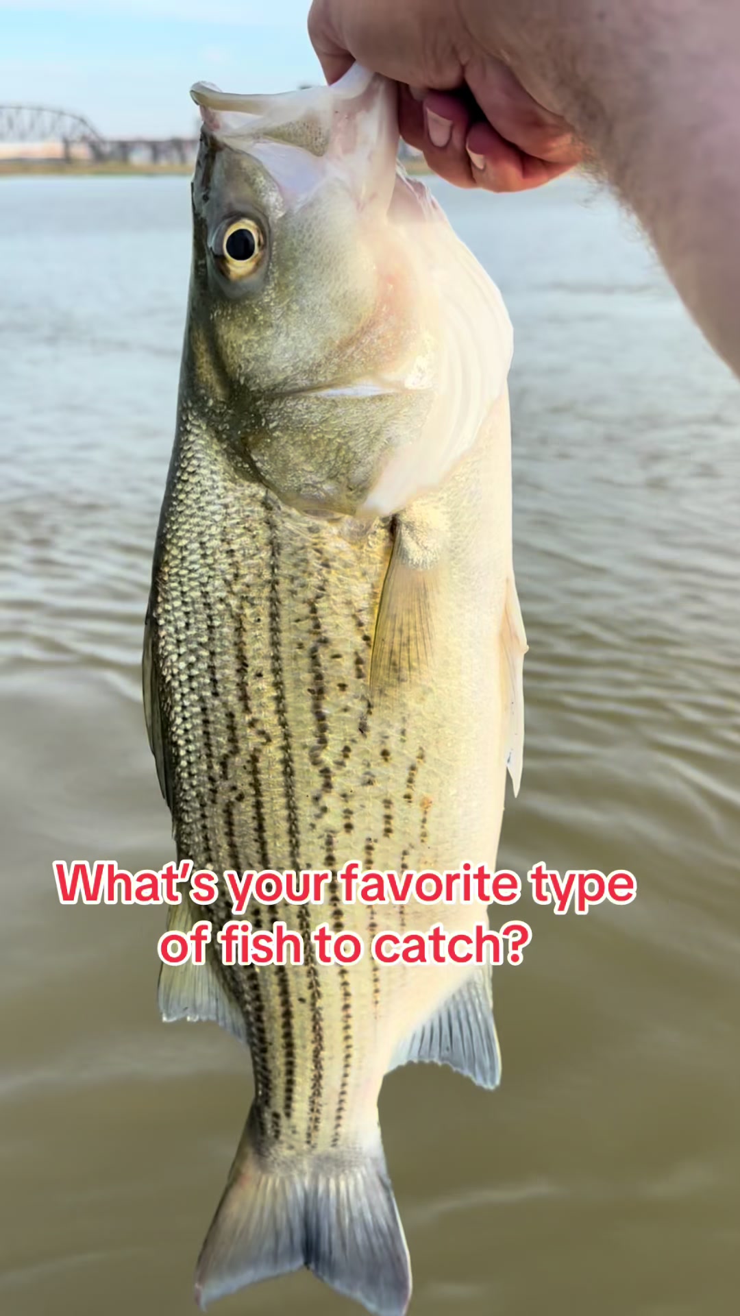 @Kentucky Fishing