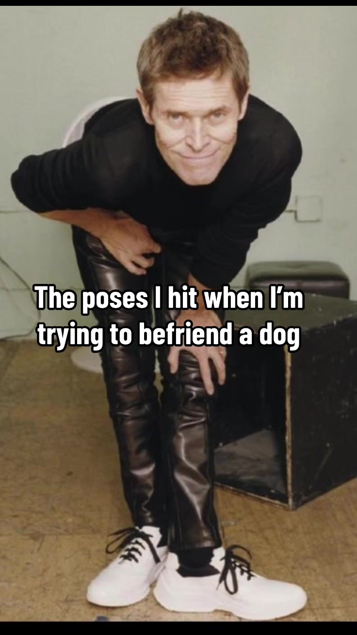 @Lobato Dog Training