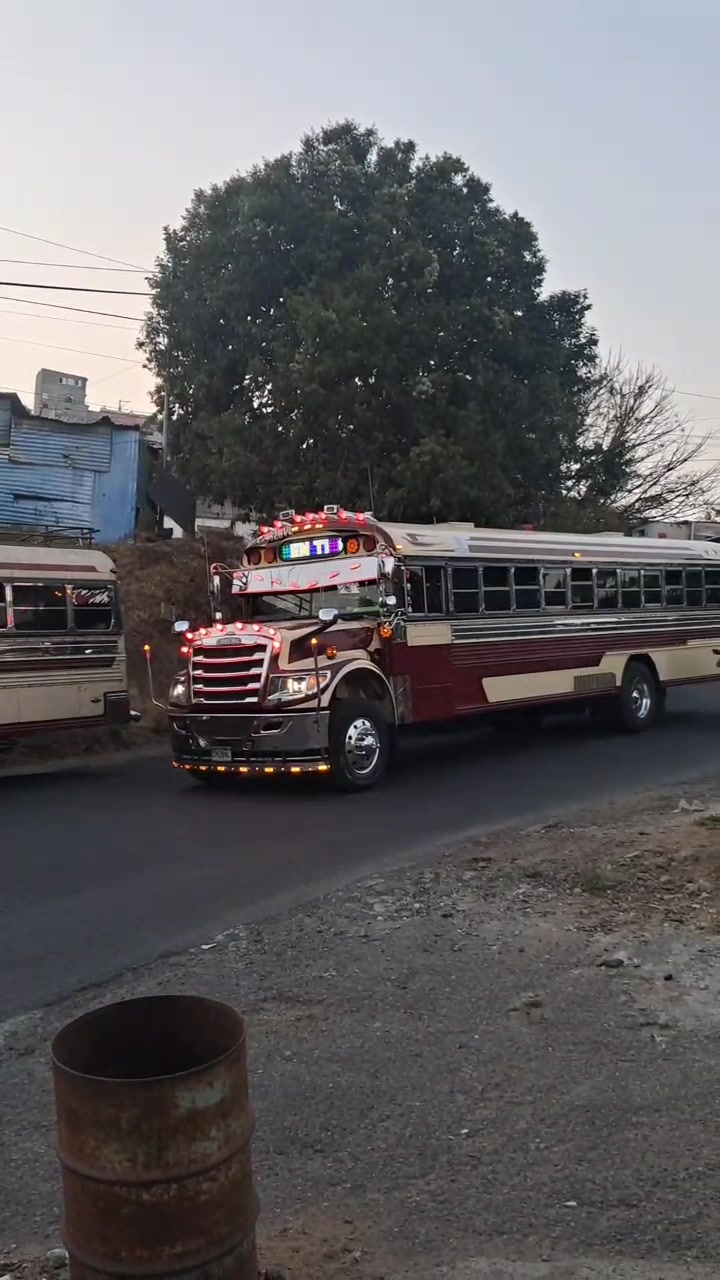 @Busesguatemala oficial ๐๐ฌ๐น