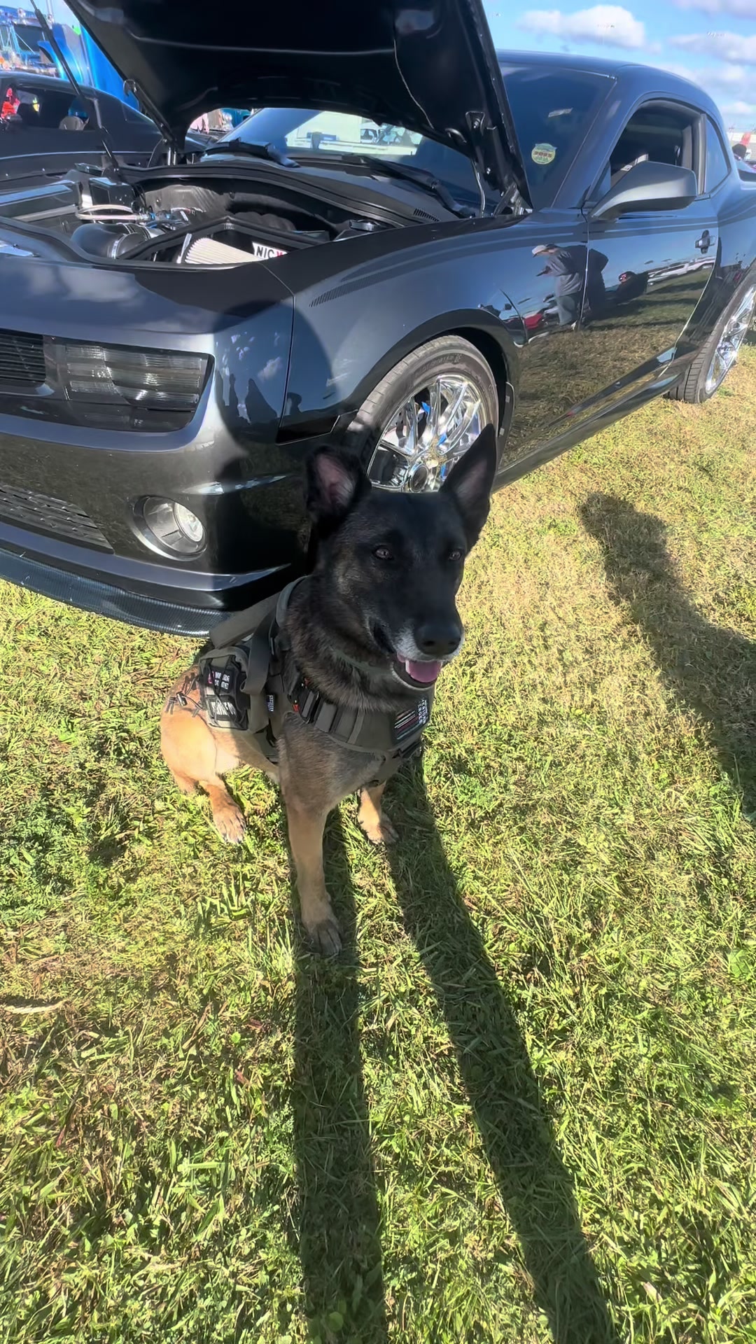 @K9.corporal